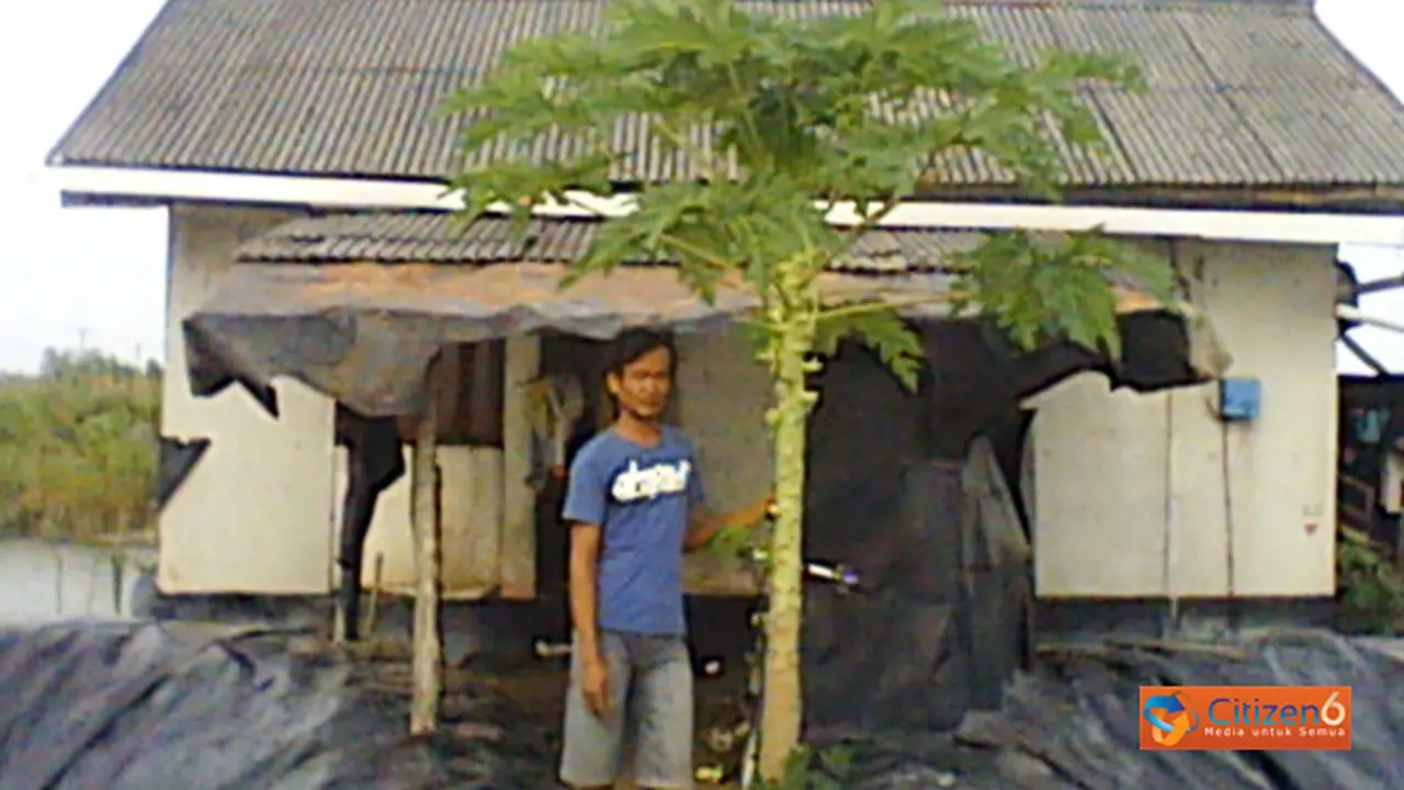 130802tambak.jpg