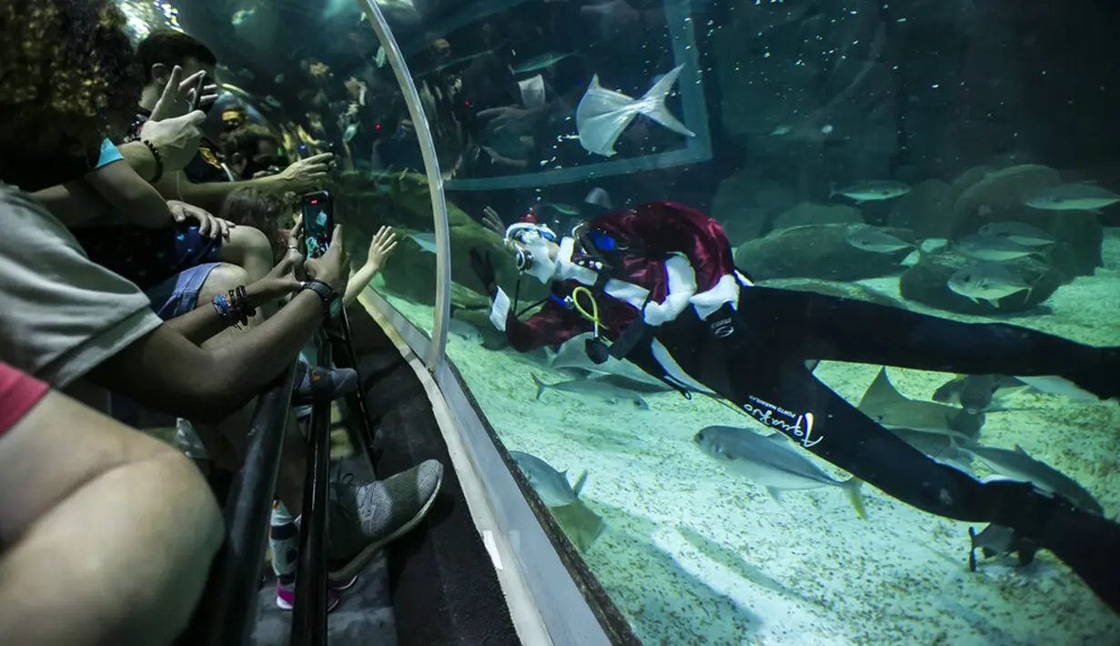 Aquarist Volmer Salvador menyapa pengunjung akuarium AquaRio mengenakan kostum Sinterklas saat musim Natal di Rio de Janeiro, Brasil, 20 Desember 2021. Dengan luas bangunan sekitar 26.000 meter persegi, AquaRio dianggap sebagai akuarium laut terbesar di Amerika Selatan. (AP Photo/Bruna Prado)