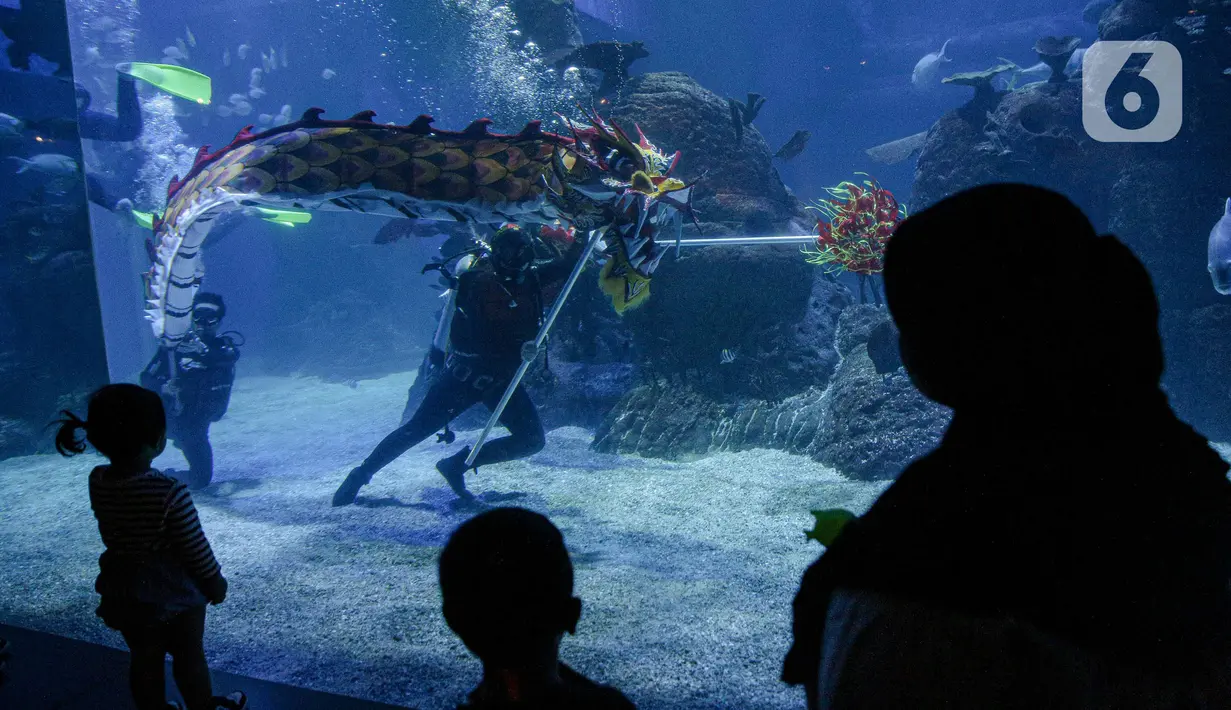 Pengunjung menyaksikan Aksi treatrikal Liong bawah air di Jakarta Aquarium & Safari (JAQS), Jakarta, Kamis (27/1/2022). Kegiatan dalam rangka memeriahkan Tahun Baru Imlek dan menjadi tujuan liburan akhir pekan panjang di dalam kota Jakarta yang aman dan nyaman. (Liputan6.com/Faizal