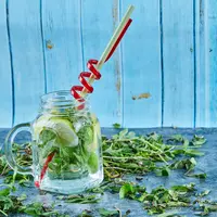 Ilustrasi daun kelor. (Copyright Freepik/azerbaijan_stockers)