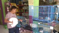 Mengintip 'Hotel Lebaran' Hewan Peliharaan