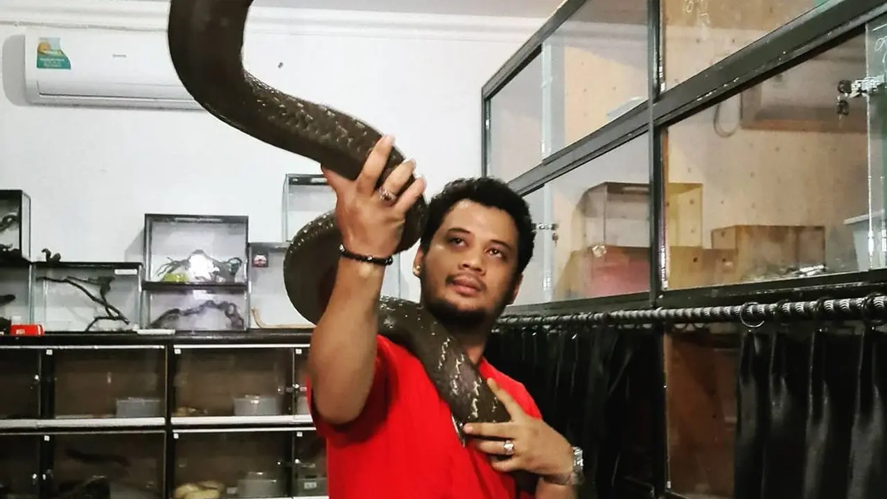 6 Seleb Ini Pelihara Binatang yang Tak Biasa, Unik hingga Ekstrem Abis