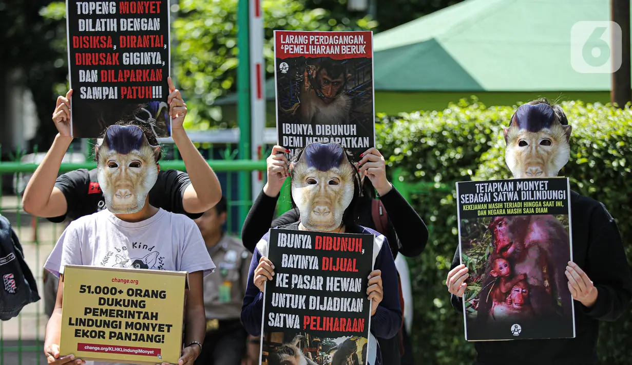 Massa yang tergabung dalam Koalisi Primates Fight Back mengenakan topeng monyet saat melakukan aksi di depan Kantor Kementerian Lingkungan Hidup dan Kehutanan, Jakarta, Senin (12/12/2022). Dalam aksinya mereka mendesak pemerintah untuk menetapkan monyet sebagai satwa dilindungi. (Liputan6.com/Faizal Fanani)