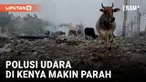 Di Kenya, asap beracun dari tempat pembuangan sampah dan lalu lintas disalahkan sebagai penyebab masalah pernapasan di tempat pembuangan sampah Dandora di Nairobi.