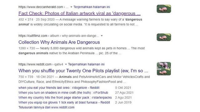 Gambar Tangkapan Layar Penelusuran Foto Menggunakan Situs Google Images.