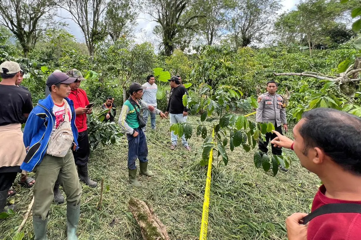 TKP penemuan jasad pemuda dengan kondisi leher nyari putus di kebun kopi miliknya di Lampung Barat, Lampung