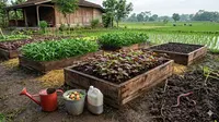 7 Desain Kebun Sayur Cepat Panen di Lahan 2x3 Meter, Panen Melimpah!