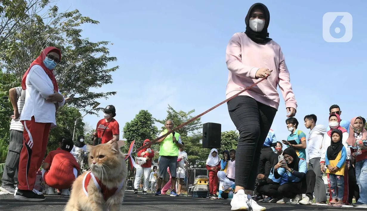 Warga membawa kucing peliharaannya pada acara fashion  show kucing rumahan di Lapangan Kolaborasi Komplek Ikip, Duren Sawit, Jakarta, Minggu (14/8/2022). Acara fashion show yang merupakan rangkaian dari kegiatan HUT Kemerdekaan Republik Indonesia ke 77 dan sebagai wadah berkumpulnya komunitas pecinta kucing di Jakarta Timur. (Liputan6.com/Herman Zakharia)