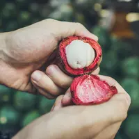 ilustrasi manfaat buah manggis untuk kesehatan/unsplash