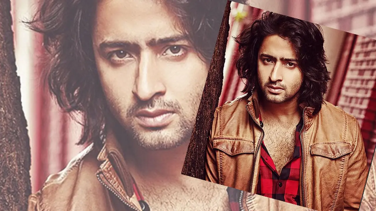 Shaheer Sheikh