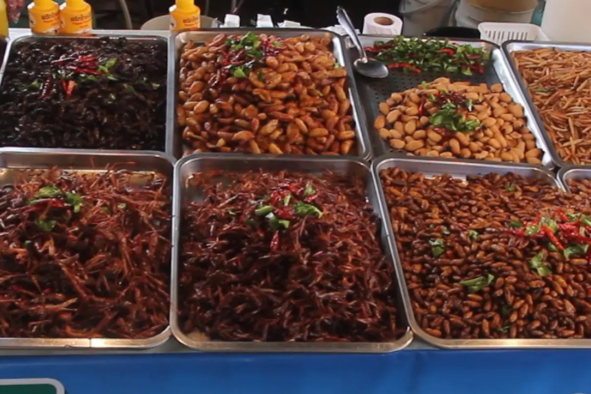 8 Makanan Mengerikan dari Thailand, Berani Coba?