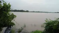 Sudah sepekan ini sawah di perbatasan Kota Makassar berubah jadi kolam lumpur. (Liputan6.com/Eka Hakim)