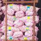 Tim Satgas Pangan yang melakukan inspeksi mendadak (sidak), pada Rabu (12/2/2020), menemukan penimbunan 150 ton bawang putih di sebuah gudang importir di Karawang Timur. (Liputan6.com/ Abramena)