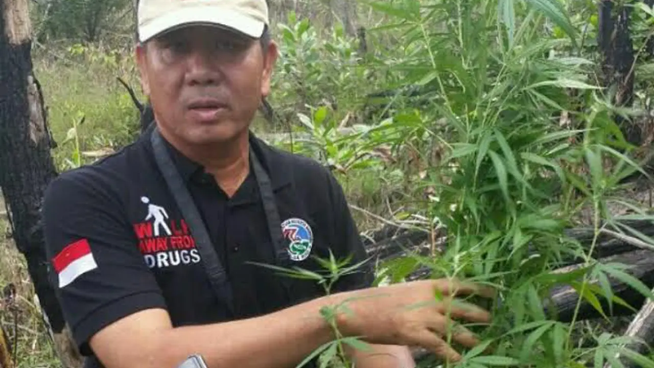 Ladang Ganja Riau