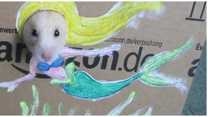 courtesy of Dailymail