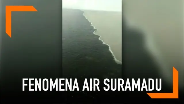 Sejumlah tim ahli dari ITS meneliti fenomena air yang terlihat berbeda di Suramadu.