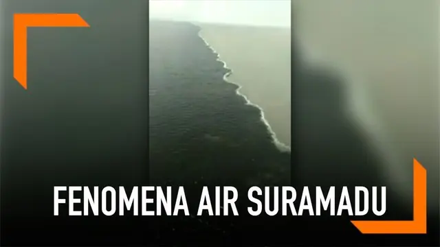 VIDEO: Tim Ahli Teliti Air Fenomena Suramadu