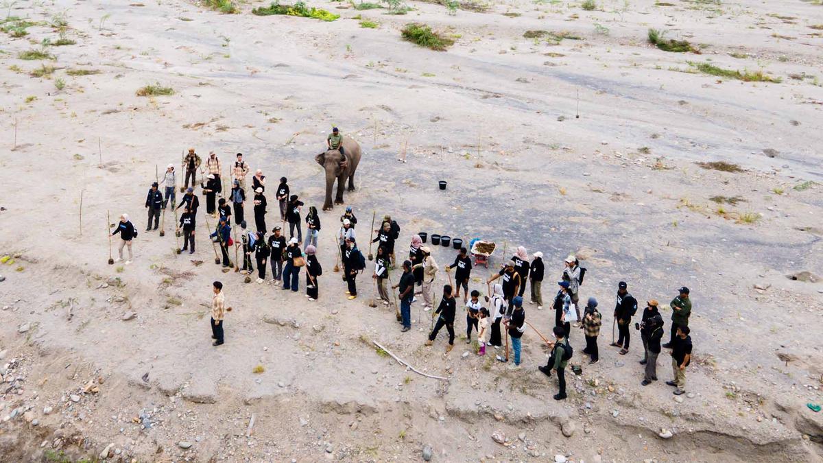 Puluhan Relawan Tanam Pohon di DAS Peusangan Aceh