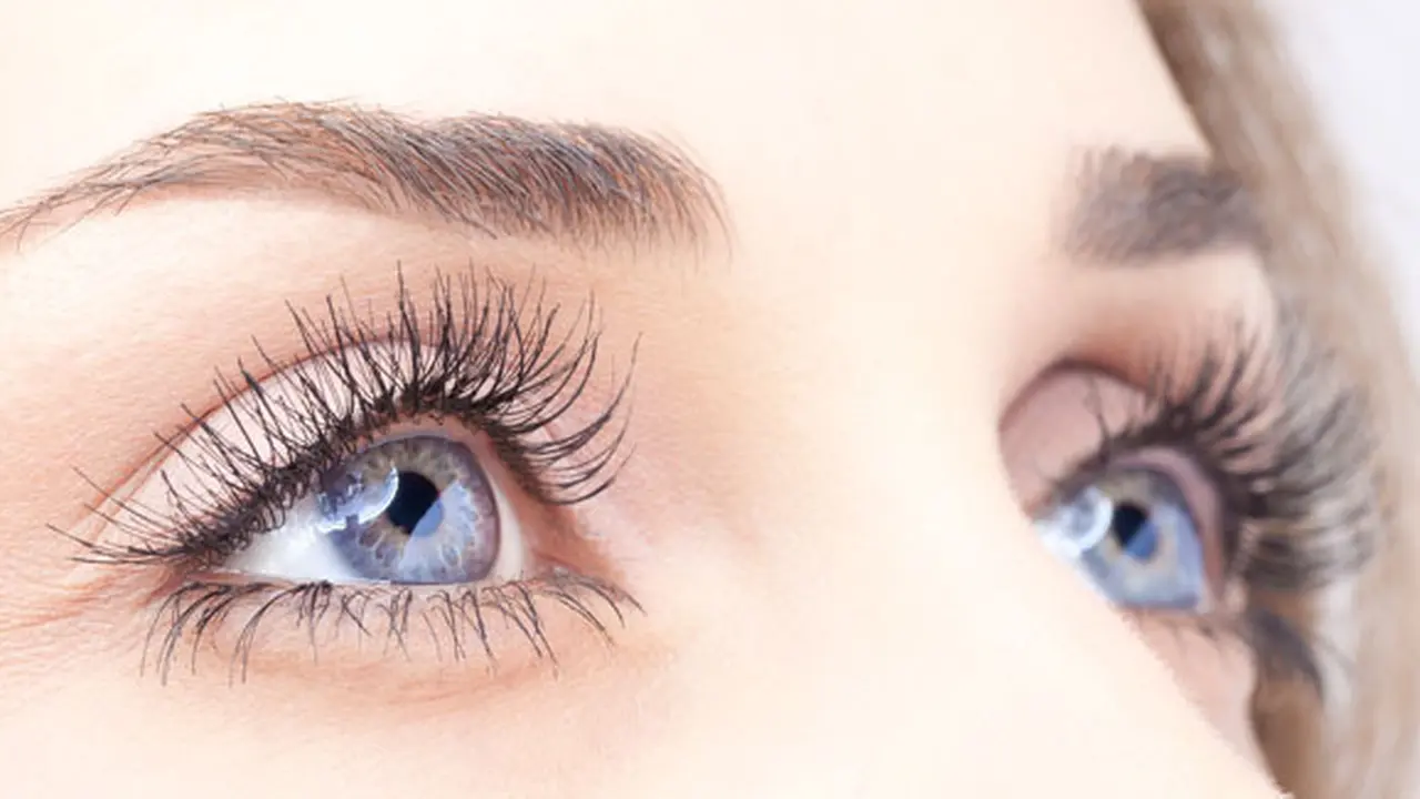 Foto: copyright Shutterstock.com