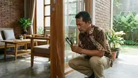 9 Trik Mencegah Rayap Datang Lagi Setelah Dibasmi, Perabot Lebih Awet