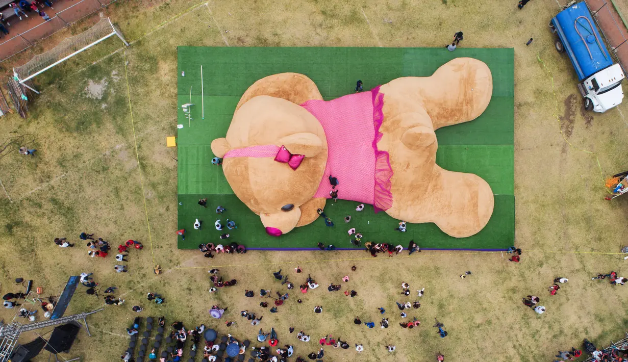 Pandangan dari udara, sebuah boneka beruang teddy (Teddy Bear) berukuran raksasa ketika di ukur panitia di Xonacatlan, Meksiko (28/4/2019). Boneka berukuran 20 meter persegi dengan berat 4 ton, masuk dalam Guinness Book of World Records. (Mario Vazquez / AFP)