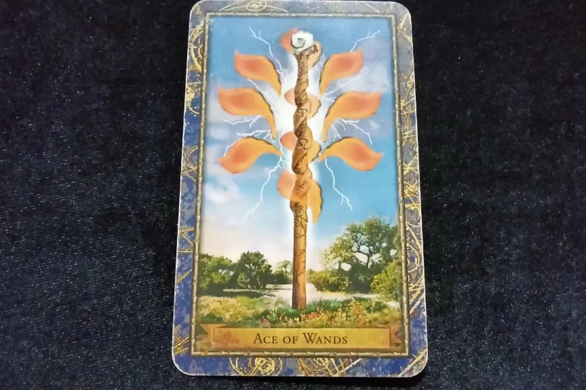Tarot