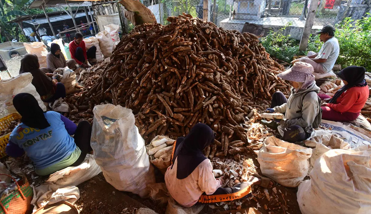 Pekerja mengolah singkong di sentra pengolahan bahan baku makanan ringan di Ciampea, Kabupaten Bogor, Jawa Barat, Minggu (26/7/2026).  (KLY/ Arie Basuki)