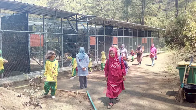 Nampak anak-anak dengan bimbingan para guru dan orang tua, tengah berkeliling di area pusat konservasi elang Kamojang Garut, Jawa Barat