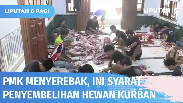 Usai menggelar salat Id panitia kurban di berbagai wilayah DKI Jakarta melanjutkan dengan kegiatan pemotongan hewan kurban. Lantaran Idul Adha kali ini dibayangi dengan merebaknya wabah PMK, upaya ekstra pun dilakukan, antara lain hewan kurban harus ...