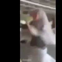 Video satu ini lagi 'ngehit' banget. Gara-gara nilai uang seserahan kurang, mempelai wanita ngamuk. Calon suaminya kena tinju! Parah.