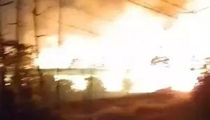 28 Ribu Anak Ayam Terbakar di Banyuwangi, Kerugian Tembus Rp 2,5 M