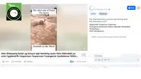 Penelusuran klaim video unta hanyut saat banjir di Dubai