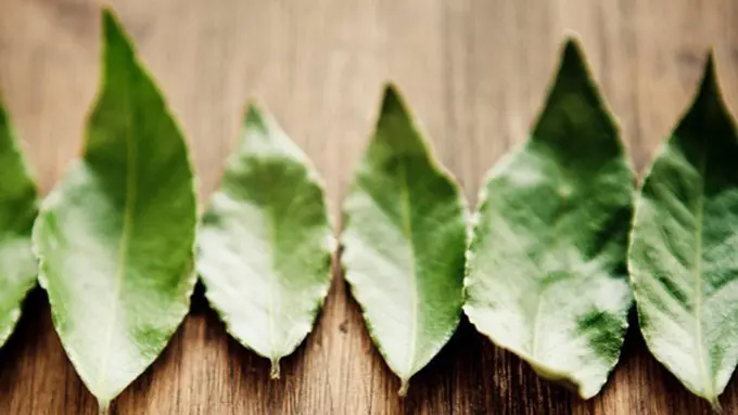 Foto Copyright thinkstockphotos.com