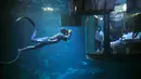 Penyelam mengambil gambar pengunjung yang tengah melihat hiu dari sebuah kamar saat menginap di hotel bawah air Aquarium of Paris, Prancis, 14 Maret 2016. Hotel tersebut menawarkan sensasi menginap yang menegangkan dan seru. (REUTERS/Charles Platiau)