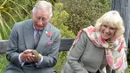 Pangeran Charles dan Istri keduanya Camilla tertawa setelah kadal Tuatara ditangannya ingin melepaskan diri  di Dunedin, Selandia Baru, Kamis (5/11/2015). Kadal Tuatara merupakan binatang sejenis reptil dari Selandia Baru. (REUTERS/Gerard O'Brien) 