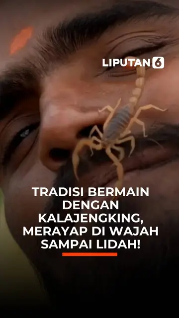 Tradisi Bermain dengan Kalajengking, Merayap di Wajah sampai Lidah!