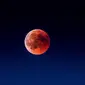 Ilustrasi gerhana bulan. (Photo by Martin Adams on Unsplash)