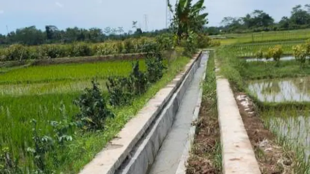 Rehabilitasi Jaringan Irigasi Tersier