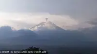 Gunung Semeru di Perbatasan  Kabupaten Lumajang dan Kabupaten Malang kembali erupsi (Istimewa)