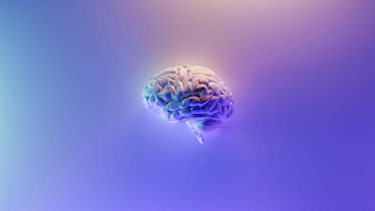 IQ Rata-Rata 11 Negara Asia Tenggara, Indonesia Nyaris Peringkat Terakhir. Foto: Unsplash/Milad Fakurian.