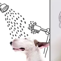 Ditinggalkan sang istri, Rafael Mantesso akhirnya bangkit dari patah hati bersama anjing setianya lewat karya seni. 