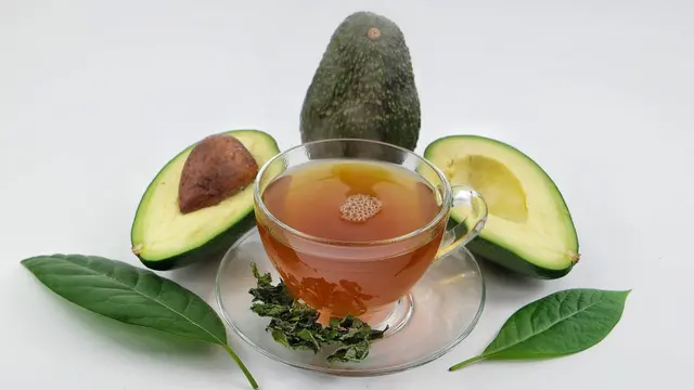 minuman teh seduhan daun alpukat