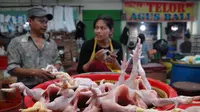 Salah satu pedagang ayam di Pasar Minggu , mengatakan harga ayam per ekor kini mencapai Rp 30-35 ribu, Jakarta, Kamis (24/7/2014) (Liputan6.com/ Miftahul Hayat)