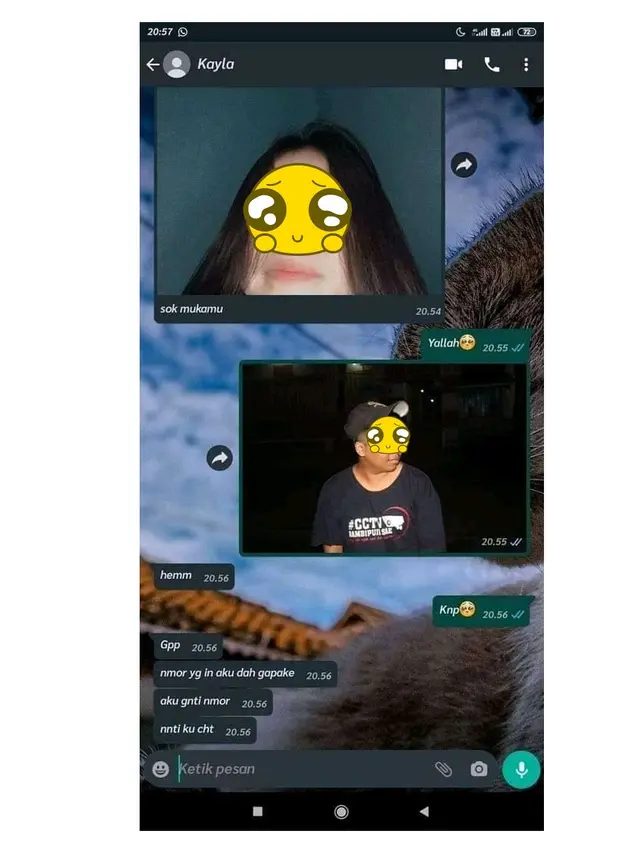 6 Chat Ditolak Halus karena Paras Tak Sesuai Kriteria Ini Bikin Senyum Getir