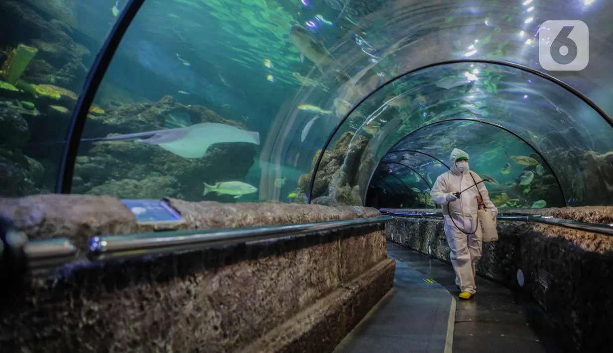 Petugas mengenakan pakaian pelindung menyemprotkan disinfektan area Sea World, Ancol, Jakarta, Sabtu (14/3/2020). Pembersihan Sea World dan Ocean Samudera guna mengantisipasi penyebaran virus corona (Covid-19). (Liputan6.com/Faizal Fanani)