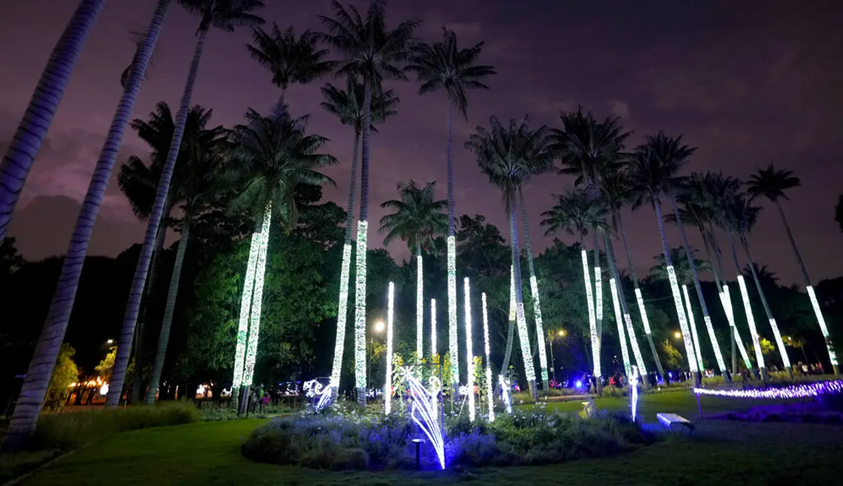 Lampu Natal menghiasi Kebun Raya Jose Celestino Mutis di Bogota, Kolombia, 16 Desember 2021. Dari populasi Kolombia yang berjumlah 49.650.000 jiwa, sekitar 71 persen di antaranya beragama Katolik. (AP Photo/Fernando Vergara)