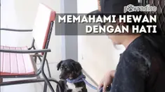 Lari dari kejaran warga setempat, anjing ini bersembunyi di sebuah rumah yang kebetulan pemilik rumah tersebut seorang penyayang anjing. Doni Herdaru diminta untuk datang dan menangani anjing tersebut.