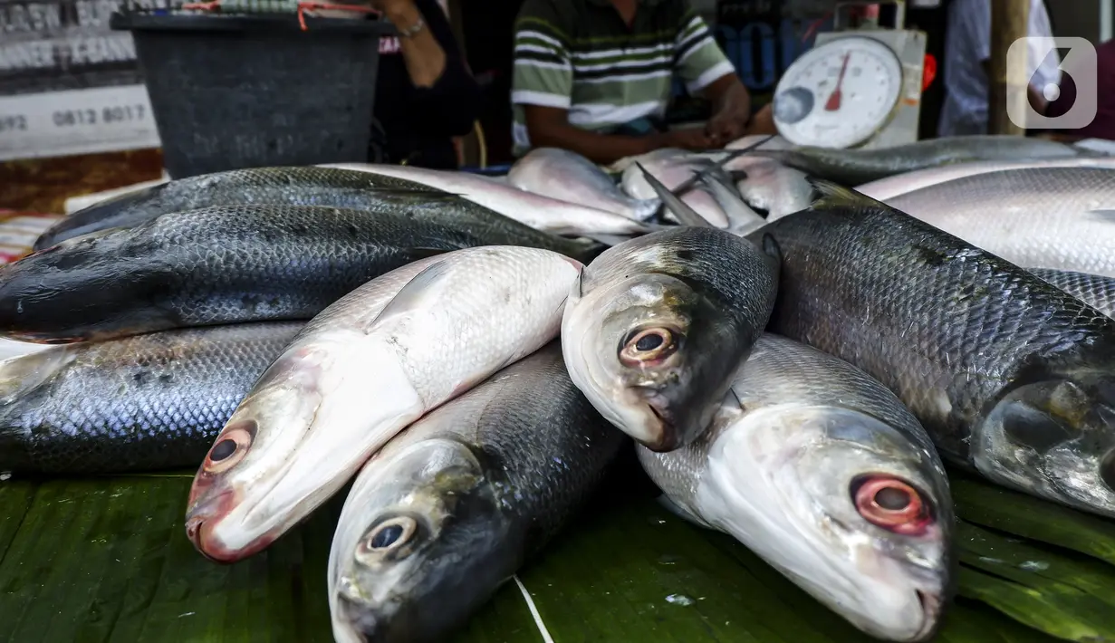 Ikan bandeng dijajakan saat dijual di kawasan Rawa Belong, Jakarta Barat, Rabu (10/2/2021). Para pedagang ikan bandeng berdagang di pinggir jalan dan menjajakan kapada setiap pengendara yang melintas. (Liputan6.com/Johan Tallo)