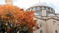 Tokyo Camii, masjid di Tokyo, Jepang. (dok. Instagram @diniaiko/https://www.instagram.com/p/BcN3Qe9Fe04/)