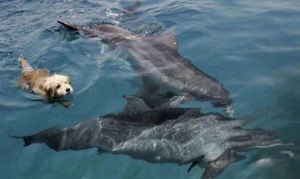 Foto : copyright oddstuffmagazine.com